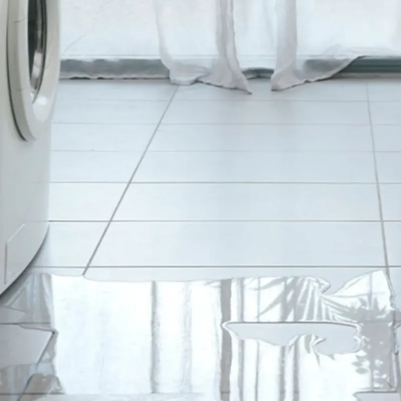 Appliance Leak Cleanup in Manly, IA