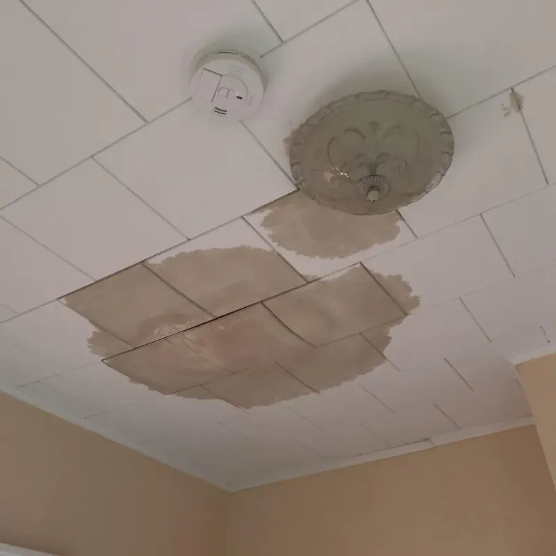 Ceiling Water Damage Repair in Manly, IA