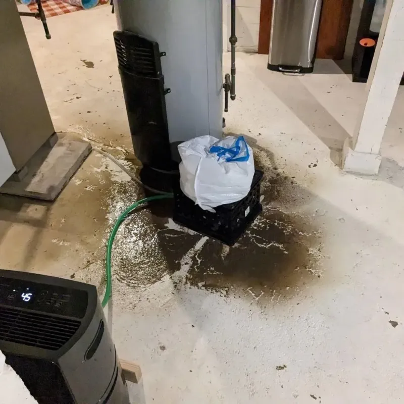 Sewage Backup Cleanup Service in Manly, IA